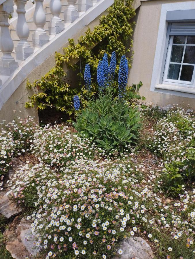 Villa Flora Superior Apartment Cabris Eksteriør billede